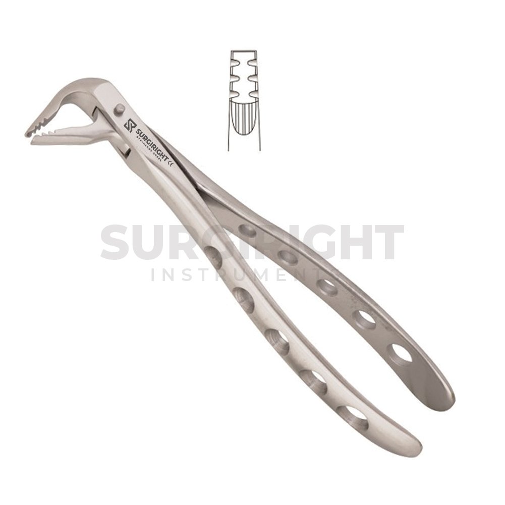 Atraumatic Extraction Lower Forceps 36 - Surgi Right