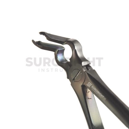 Black Plasma Dental Extracting Forcep No 70 - Surgi Right
