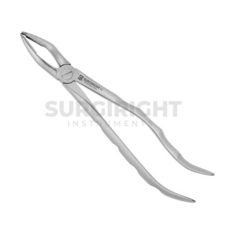 Dental Extracting Forceps Very Fine Upper Premolars - Surgi Right