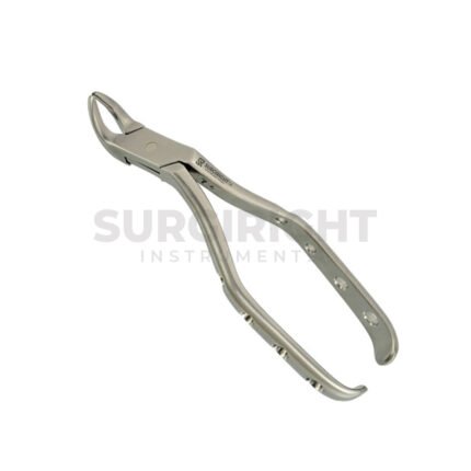 Dental Extracting Meissner Forcep 3mm Small Fig 1 - Surgi Right