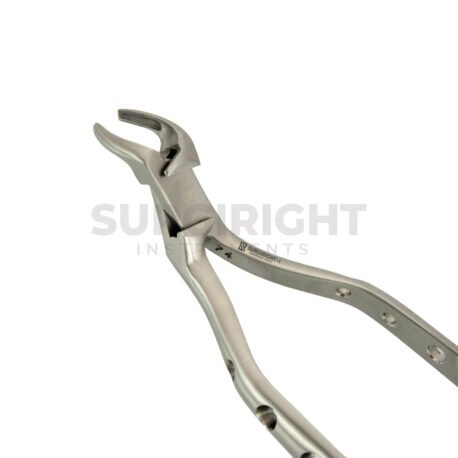 Dental Extracting Meissner Forcep-6.5mm Large Fig 3 - Surgi Right