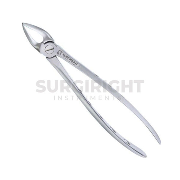 Extraction Forceps 30 Upper Roots - Surgi Right