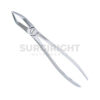 Upper Premolars Forceps 31 - Surgi Right