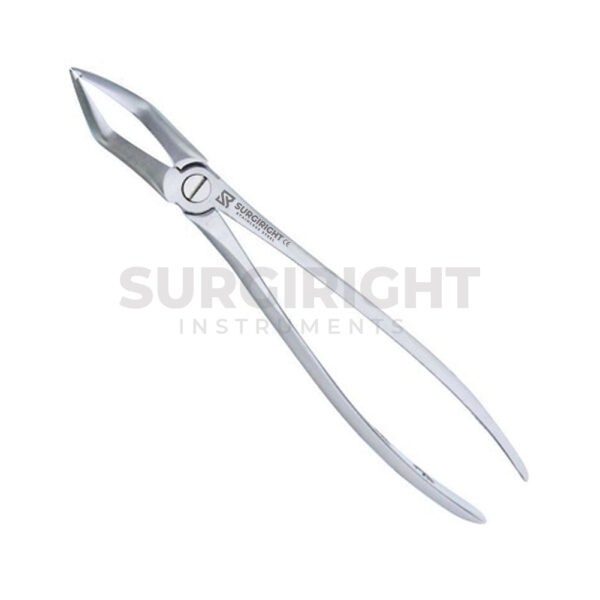 Upper Premolars Forceps 31 - Surgi Right