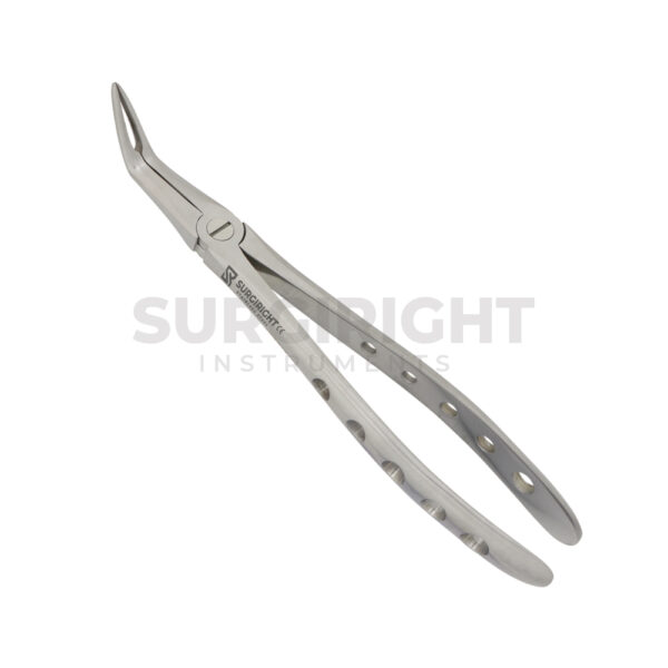 Lower Root Forceps 46L | Extraction Forceps - Surgi Right