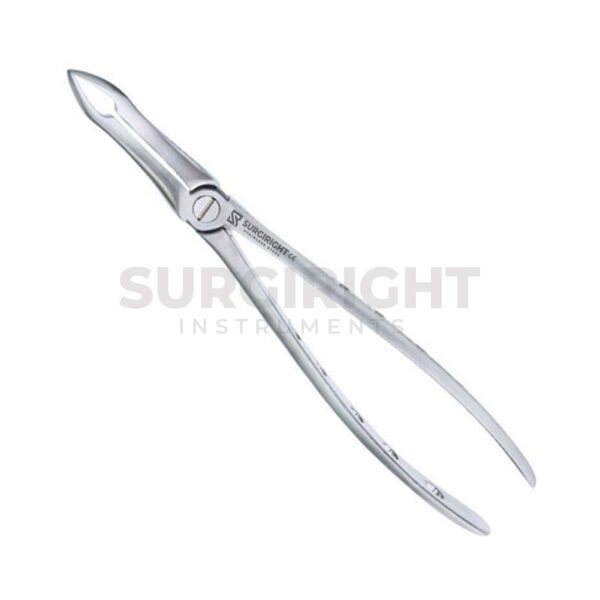 Extraction Forceps 49 Upper Roots - Surgi Right