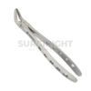 Extraction Forceps Fig 8 Upper Premolars - Surgi Right