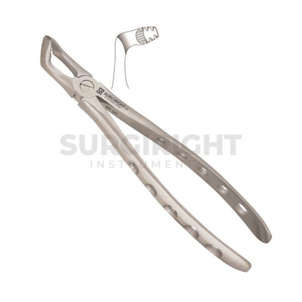 Extraction Forceps For Lower Wisdom Teeth 79A - Surgi Right