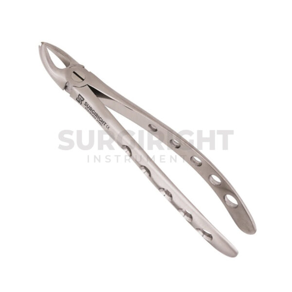 Cowhorn Forceps Upper Right - Surgi Right