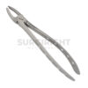 Upper Forceps For Extraction - Surgi Right