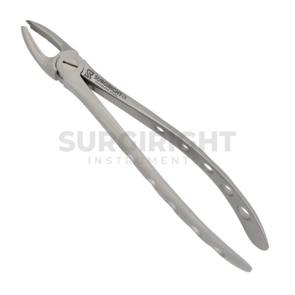 Upper Forceps For Extraction - Surgi Right