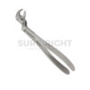 Extraction Lower Wisdom Tooth Forceps Right 22R - Surgi Right