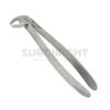 Kids Extracting Forceps 13S Lower Incisors Bicuspids - Surgi Right