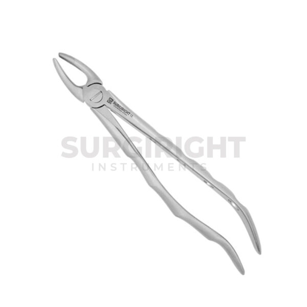 Upper Incisors Extracting Forcep 1 - Surgi Right