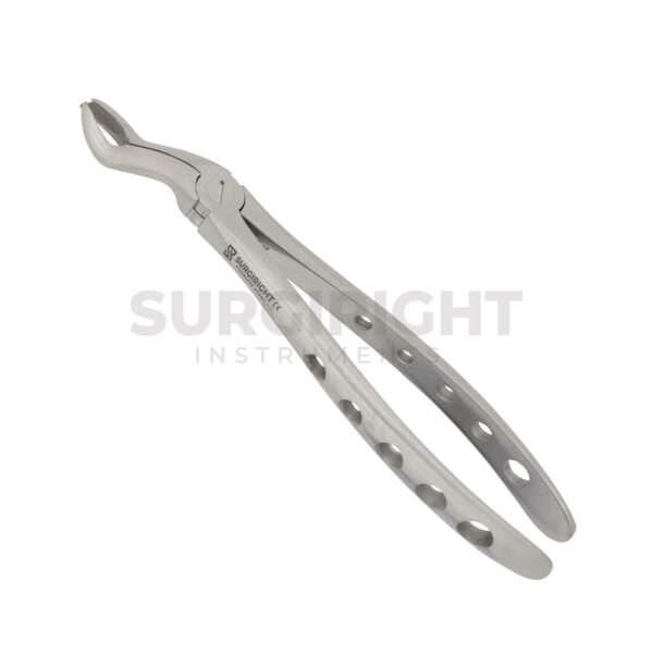 Upper Wisdom Tooth Forceps 67L - Surgi Right