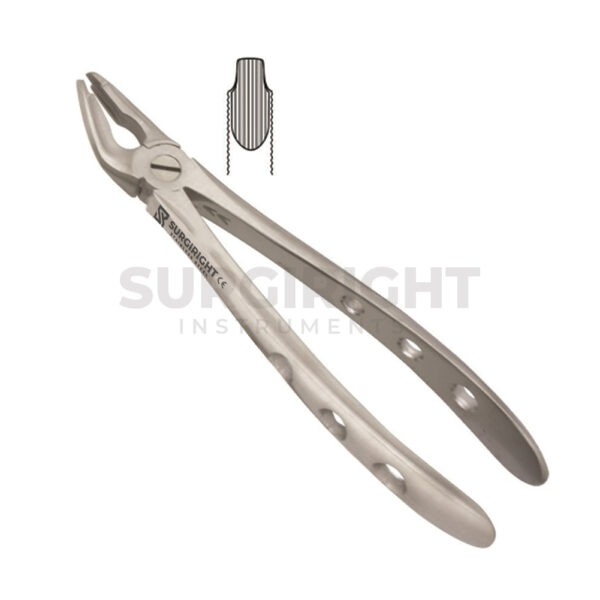 Pediatric Extraction Forceps Lower F2 Universal - Surgi Right