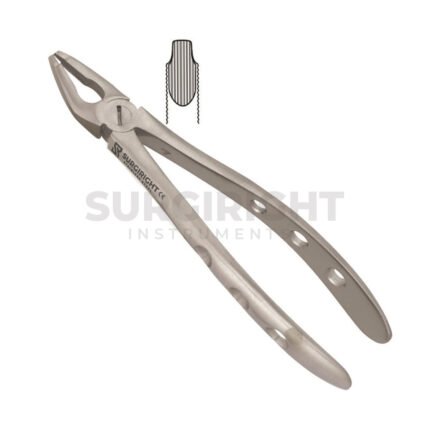 Pediatric Extraction Upper F1 - Surgi Right